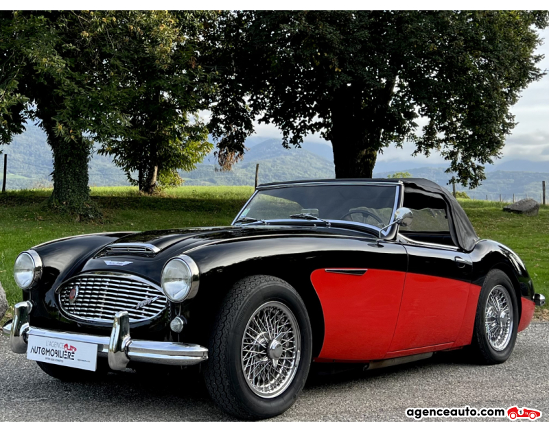 Achat voiture occasion, Auto occasion pas cher | Agence Auto Austin-Healey 3000 MK1 BT7 124ch Noir Année 1960 Manuelle Essence