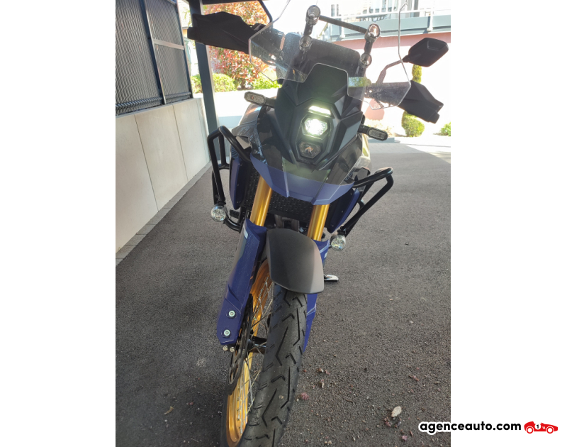 Compra de Carros Usados, Carros Usados Baratos | Auto Immo Suzuki DL V-Strom 800 1re MAIN Bleu Ano 2023 Automatique Essence