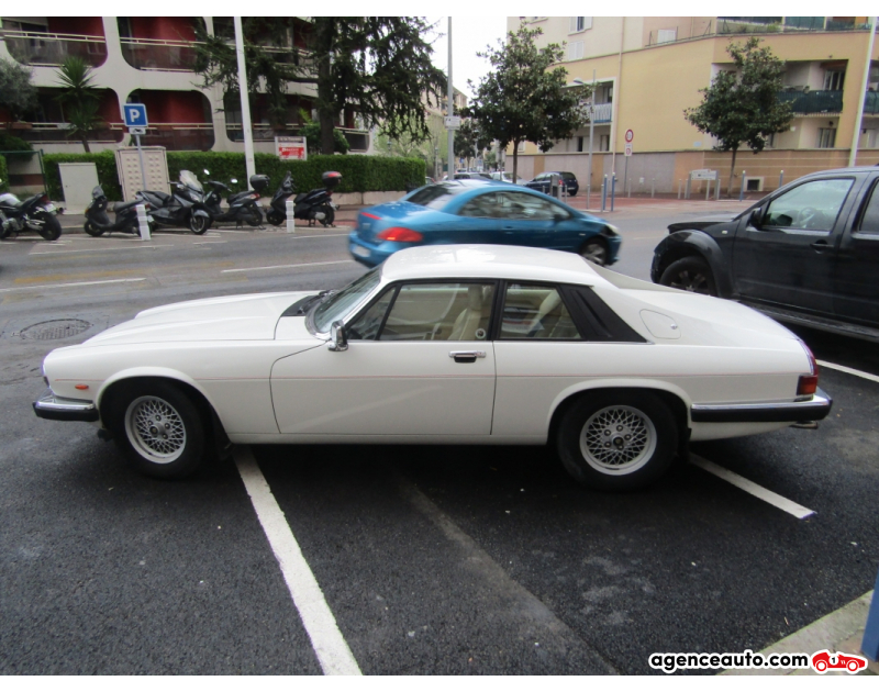 Achat voiture occasion, Auto occasion pas cher | Agence Auto Jaguar XJS 3,6 COUPE 228 CH Violet Année 1989 Automatique Essence