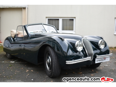 Jaguar XK — 6