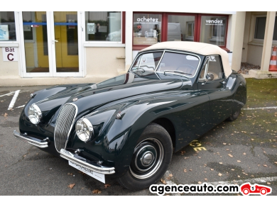 Jaguar XK — 3