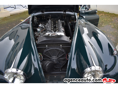 Jaguar XK — 30