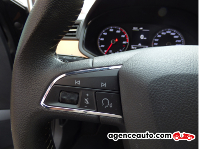 Seat Ibiza — 14