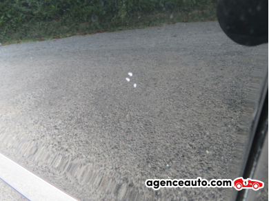 Renault Scenic — 33