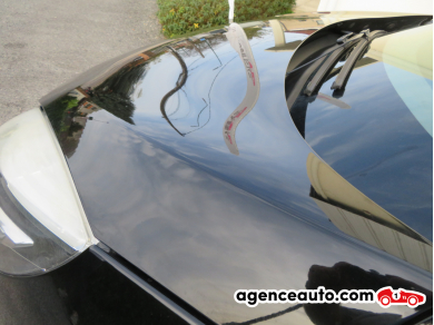 Renault Scenic — 31