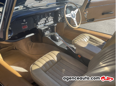 Jaguar Type E — 16