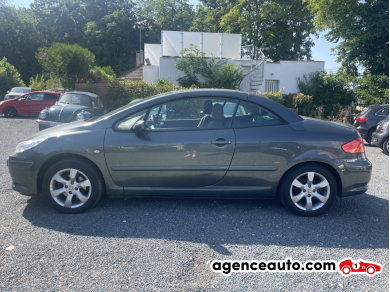 Peugeot 307 — 37