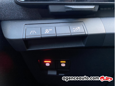 Renault Megane — 30