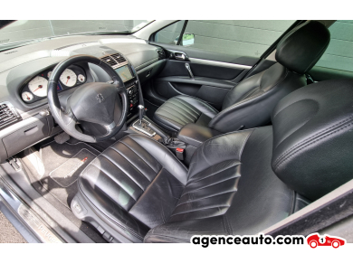 Peugeot 407 — 12