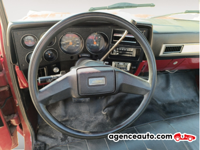 Chevrolet C10 — 15