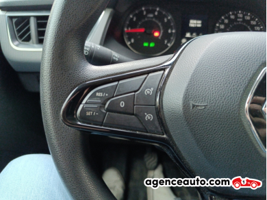 Renault Kangoo — 30