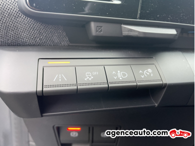 Renault Megane — 25