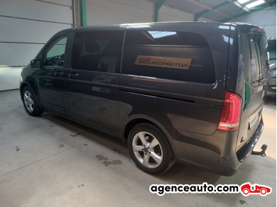 Mercedes Viano — 8