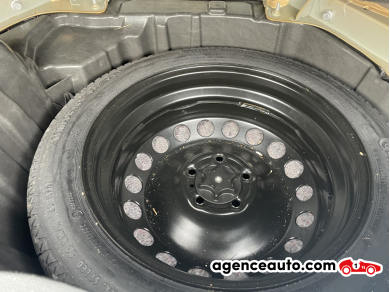 Renault Scenic — 34