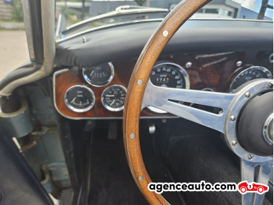 Austin-Healey 3000 — 15