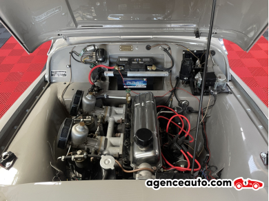 Triumph TR3 — 20