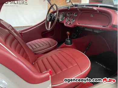 Triumph TR3 — 17