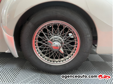 Triumph TR3 — 25
