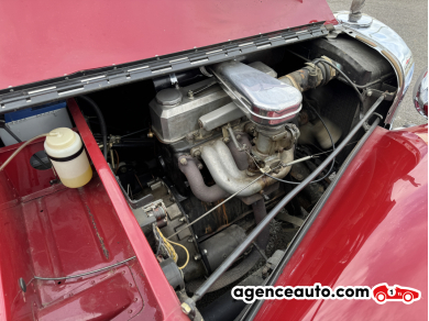 Triumph TR — 31