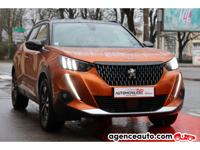 Peugeot 2008 — 6