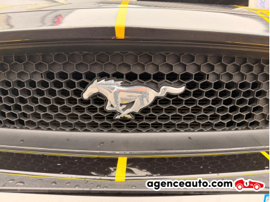 Ford Mustang — 25