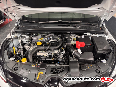 Renault Clio — 29