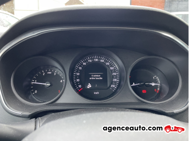 Renault Megane — 12
