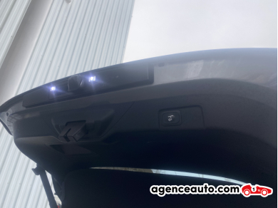 Ford Puma — 25