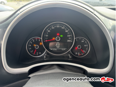 Volkswagen New beetle — 13