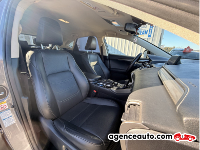 Lexus NX — 10
