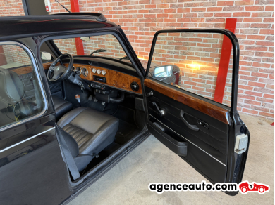 Mini Mini — 22