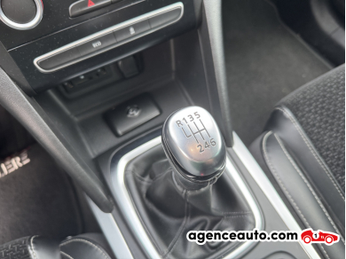 Renault Megane — 19