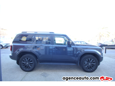 Toyota Land Cruiser — 6