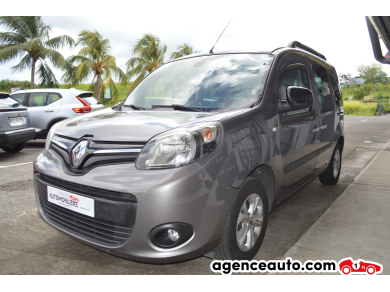 Renault Kangoo — 4