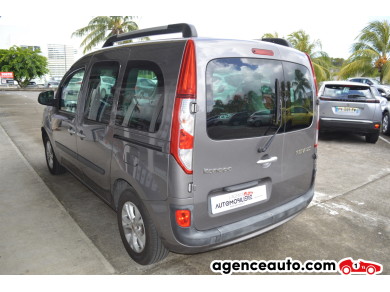 Renault Kangoo — 5