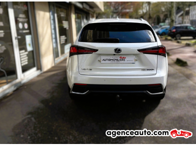 Lexus Lexus Nx 2 — 5
