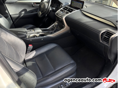 Lexus Lexus Nx 2 — 12