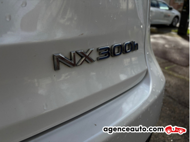 Lexus Lexus Nx 2 — 31