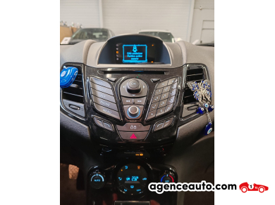 Ford Fiesta — 29