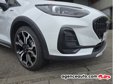 Ford Fiesta — 29