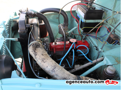 Renault Juvaquatre — 35