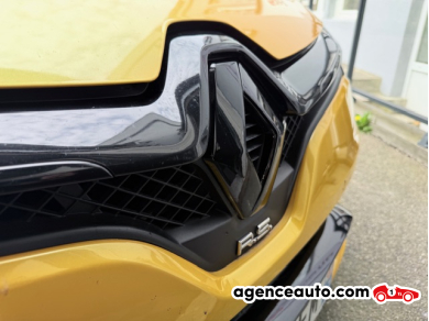 Renault Clio — 29