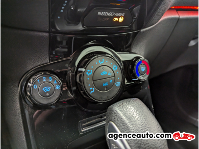 Ford Fiesta — 20