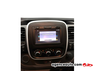 Renault Trafic — 29
