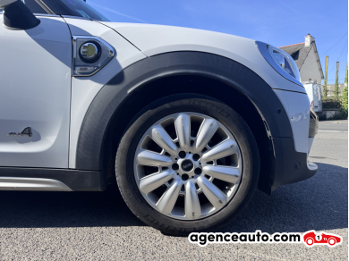 Mini Mini Countryman — 36