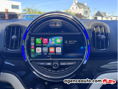 Mini Mini Countryman — 19