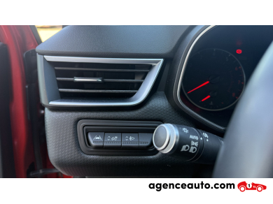 Renault Clio — 14