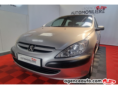 Peugeot 307 — 29