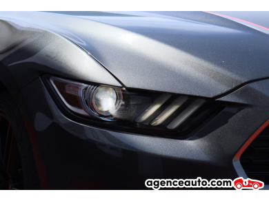 Ford Mustang — 17