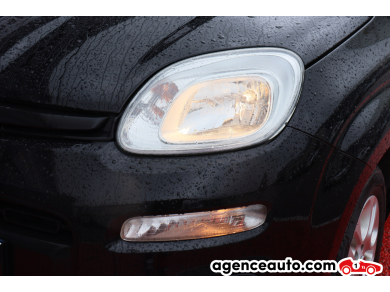 Fiat Panda — 29